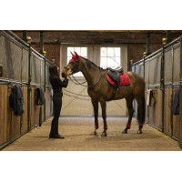 Gamaschen met kogelbeschermers Lami-Cell Elite Rood