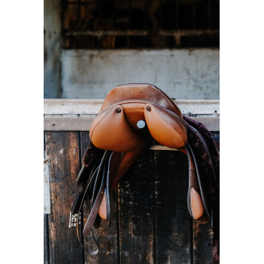 Porte-selle portable Hippotonic Noir