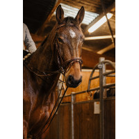 Duitse teugels Norton Pro 13mm Havana Bruin