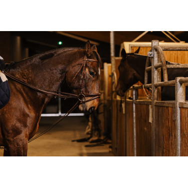 Duitse teugels Norton Pro 13mm Havana Bruin