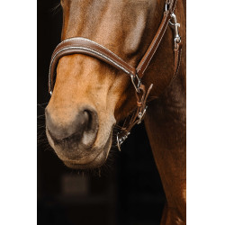 Licol cuir Norton Rock Havane Marron Licol cuir Norton Rock Havane Marron