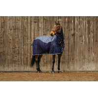 Unisex overhemd Equithème Marineblauw
