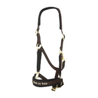 Halster Werano Back On Track Bruin
