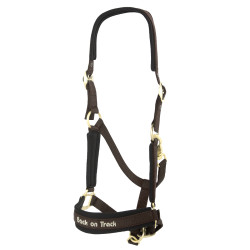Halster Werano Back On Track Bruin