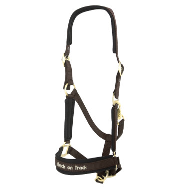 Halster Werano Back On Track Bruin