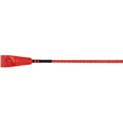 Dressuurzweep Whip & Go Glossy Rood Dressuurzweep Whip & Go Glossy Rood