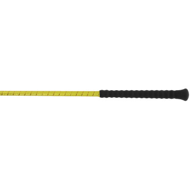 Dressuurzweep Whip & Go Glossy Goudkleurig Dressuurzweep Whip & Go Glossy Goudkleurig
