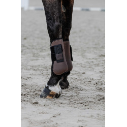 Equithème gaiters Bruin