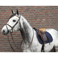 Tapijt Nr.Ⅰ CSO Back On Track Zwart