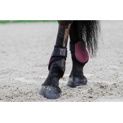 Protège-boulets Equithème Bordeaux