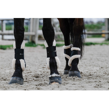 EQUITHÈME Boa kogelbeschermers Zwart