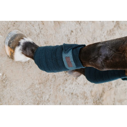 Bandes de polo Equithème par 4 Vert foncé