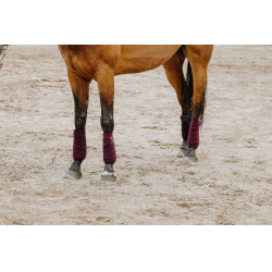 Equithème polobandages set van 4 Bordeaux