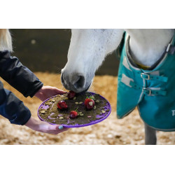 Lik-It liksteenmat Graze Maze Violet