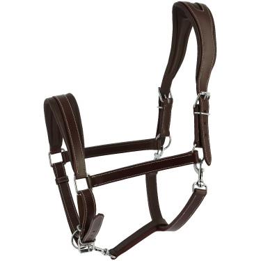 Halster Ardennais Norton Havana Bruin