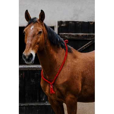 Cordelette Norton Rouge