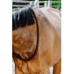 Cordelette Norton Marron