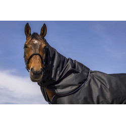 Nekbeschermer Equithème Tyrex 600D Zwart