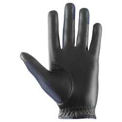 Gants Uvex Sumair Noir/bleu