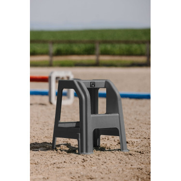 Montoir 2 marches Hippotonic Gris