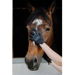 Gants Je t'aime Equithème Strass Noir Gants Je t'aime Equithème Strass Noir