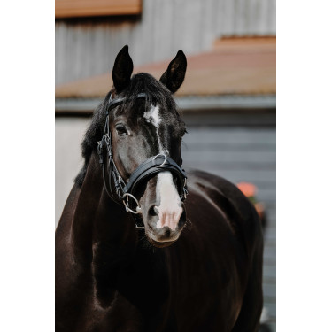 Brede cavesson Norton Zwart