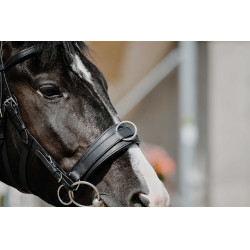 Brede cavesson Norton Zwart