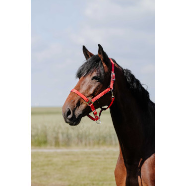 Halster Riding World Cushion Rood