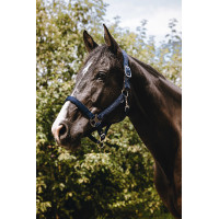 Nylon halster Equithème Protector Groen