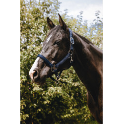 Nylon halster Equithème Protector Marine Marineblauw