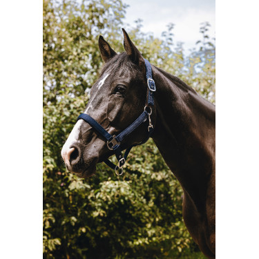 Nylon halster Equithème Protector Marine Marineblauw