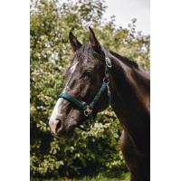 Licol nylon Equithème Protector Vert