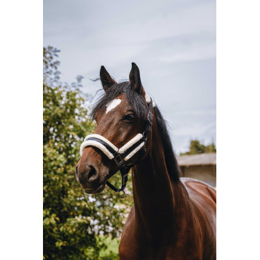 Licol nylon Equithème Fashion Noir Licol nylon Equithème Fashion Noir