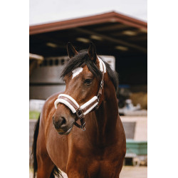 Nylon halster Equithème Fashion Bruin