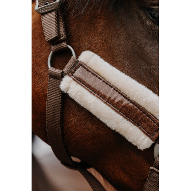Nylon halster Equithème Fashion Bruin