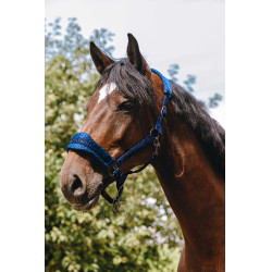 Nylon halster Equithème 3D Mesh Koningsblauw