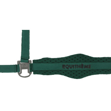 Nylon halster Equithème 3D Mesh Groen Nylon halster Equithème 3D Mesh Groen