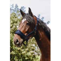Licol nylon Equithème 3D Mesh Marine Bleu marine