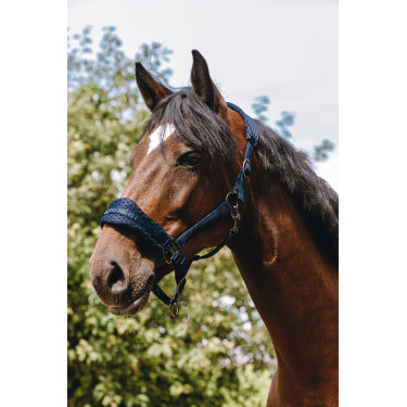 Licol nylon Equithème 3D Mesh Marine Bleu marine