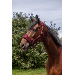 Nylon halster Equithème 3D Mesh Bordeaux