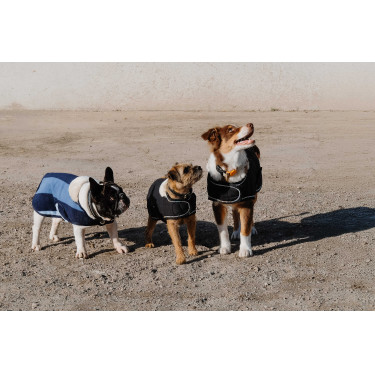 Couverture pour chien Equithème New Market Marine Bleu marine