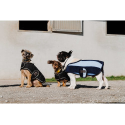 Couverture pour chien Equithème New Market Marine Bleu marine