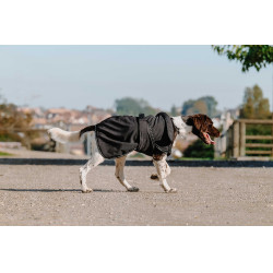 Hondenhoes Equithème Softshell Zwart