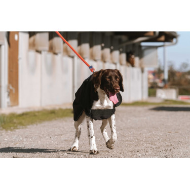 Couverture pour chien Equithème Softshell Noir Couverture pour chien Equithème Softshell Noir