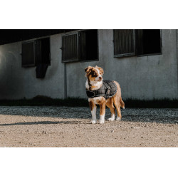 Couverture pour chien Je t'aime Equithème Noir