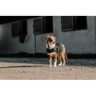 Couverture pour chien Je t'aime Equithème Noir