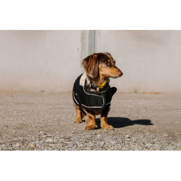 Couverture pour chien Je t'aime Equithème Noir