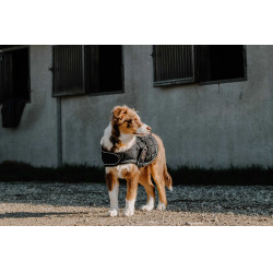 Couverture pour chien Je t'aime Equithème Noir