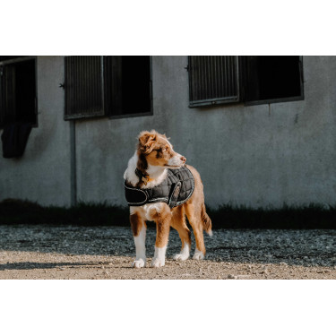 Couverture pour chien Je t'aime Equithème Noir
