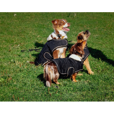 Couverture pour chien Je t'aime Equithème Noir